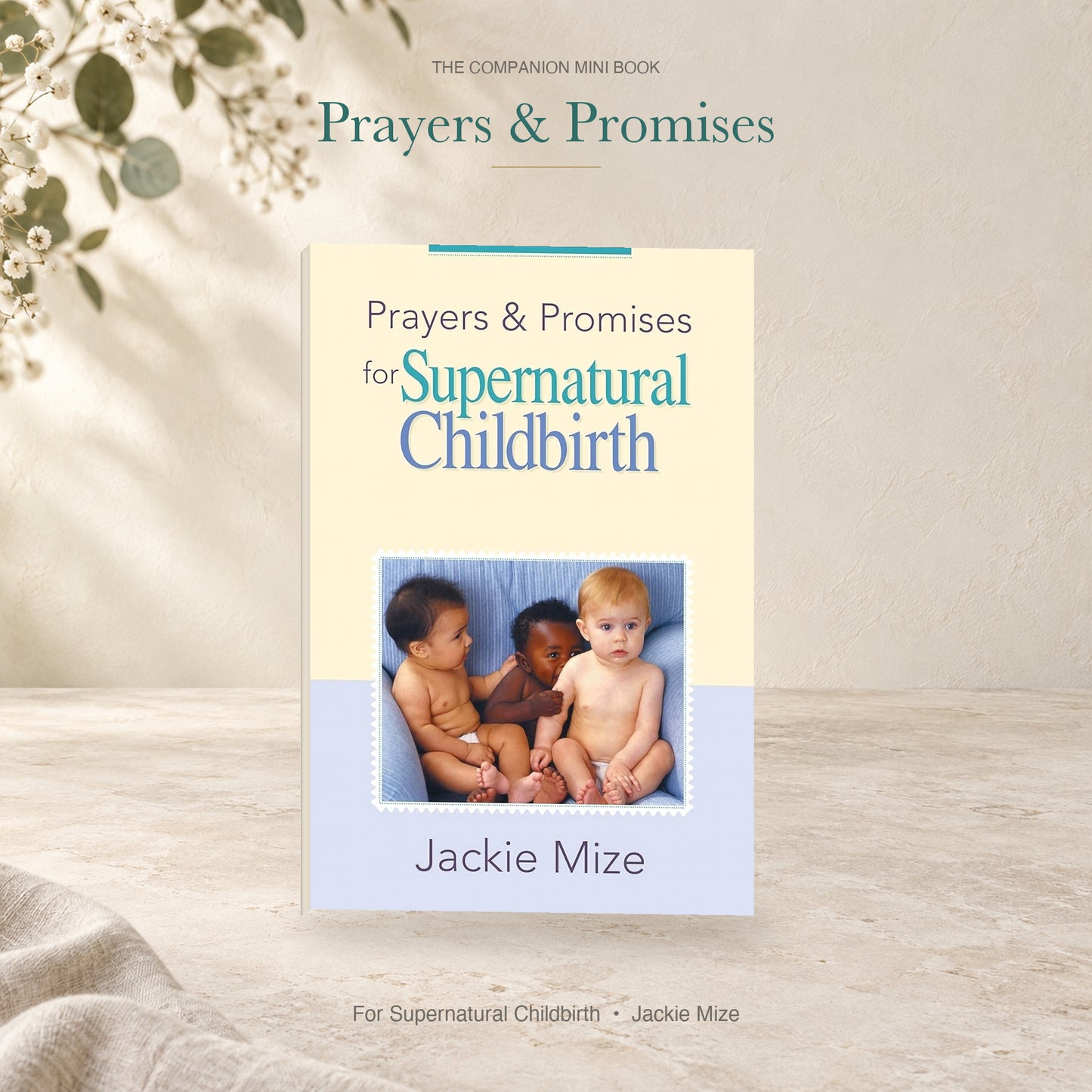 Prayers and Promises for Supernatural Childbirth companion mini book by Jackie Mize